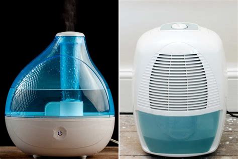 9 Types Of Humidifiers And Dehumidifiers