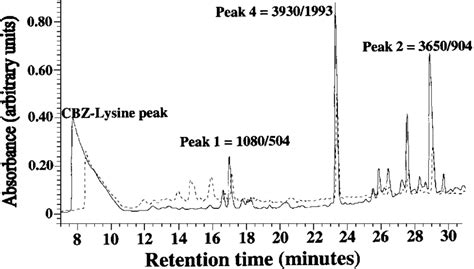 Hplc Chromatograms Of Cbz Lysine Solid Line Or Cbz L Lysine And