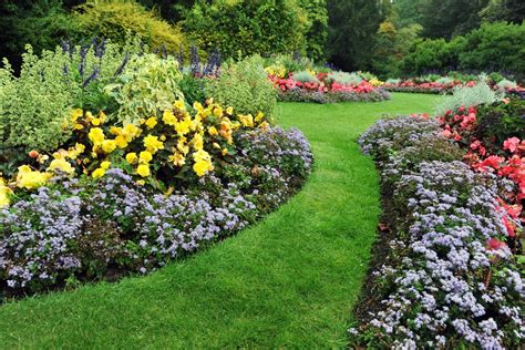 18 Mooiste Planten Voor In De Siertuin Tuinonderhoud