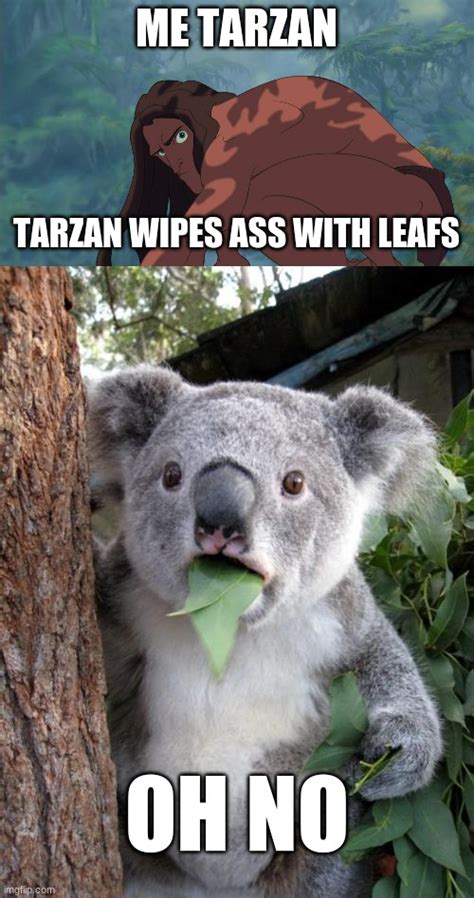 Image Tagged In Tarzanmemessurprised Koala Imgflip