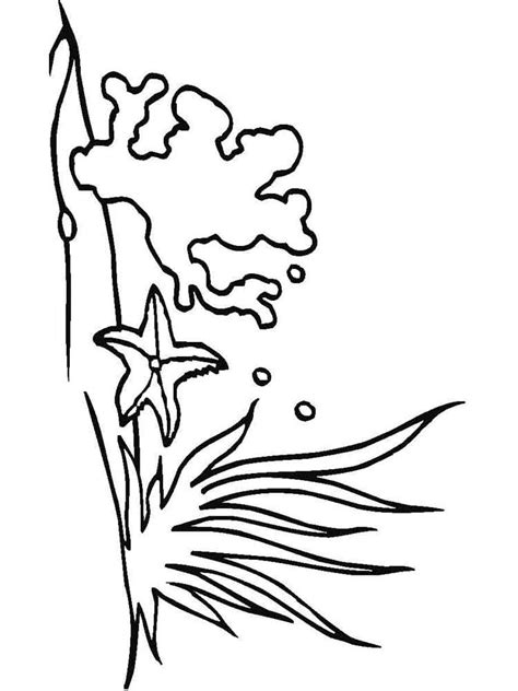 Seaweed coloring pages