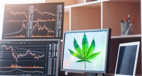 One Marijuana Stock Aiming To Dominate The US Market - Marijuana Stocks ...