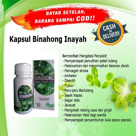 Kapsul Daun Binahong Inayah Lazada Indonesia