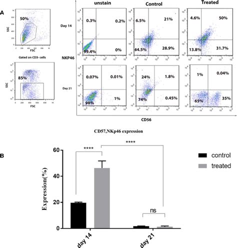 Cord Blood Derived Nk Cells Activated In Counter With Tumor Cells