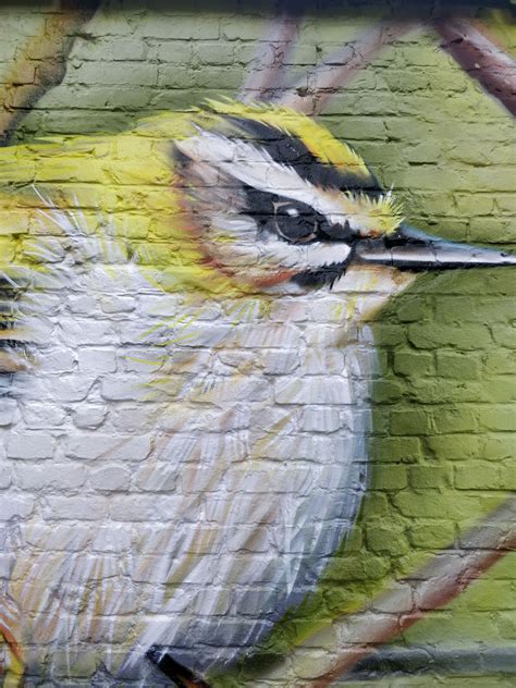 Goldcrest By SMOK Street Art Cities