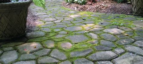 How To Clean Mold Off Patio Pavers - Patio Ideas