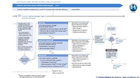 Gina Pocket Guide Difficult To Treat And Severe Asthma In Adults And