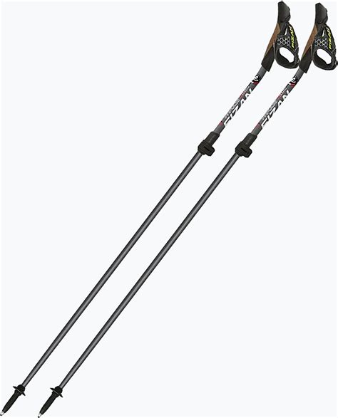 Kije Nordic Walking Fizan Tecno Impulse Grey Ceny I Opinie Ceneo Pl