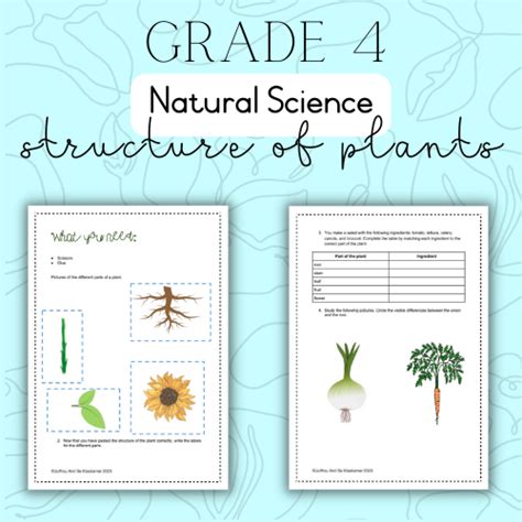 Grade 4 Ns Structure Of Plants