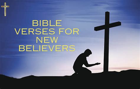 50 Bible Verses For New Believers Start Your Faith Journey Strong