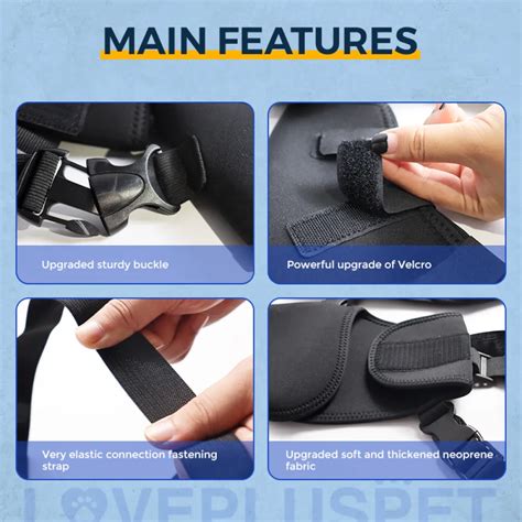 Best Dog Knee Support Brace For Sale Lovepluspet