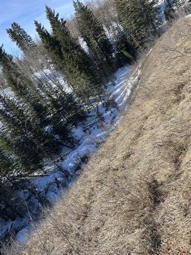 Best Hikes and Trails in South Glenmore Park | AllTrails