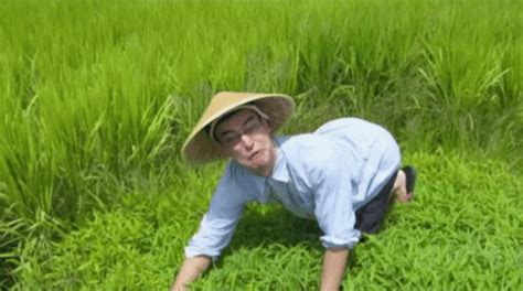 Photo of a Vietnamese farmer collecting rice in the midst of the Vietnam War colorized (1964 ...