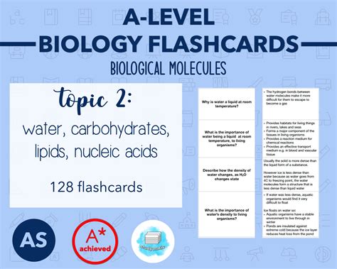 BIOLOGY FLASHCARDS A LEVEL: Biological Molecules - Etsy UK