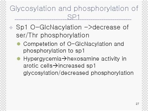 Biochemistry And Molecular Cell Biology Of Diabetic Complications