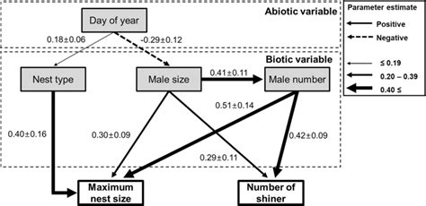 The Final Path Model All Arrows Are Significant P Download