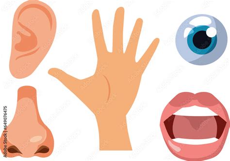 Eye, Nose, ear, Mouth and Hand Vector Cartoon Set. Five senses vector ...