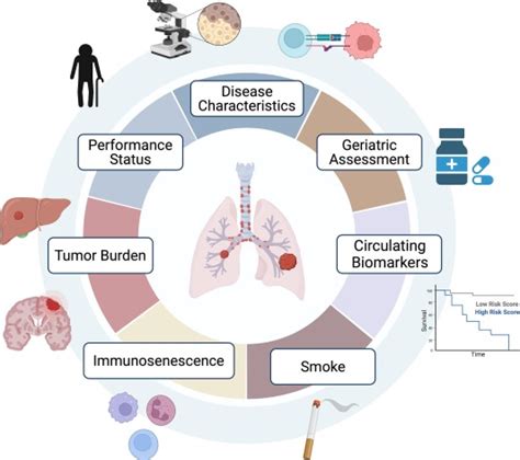 The Use Of Immunotherapy In Older Patients With Advanced Non Small Cell