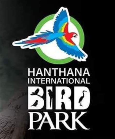 Hanthana International Bird Park Recreation Center Top Rated