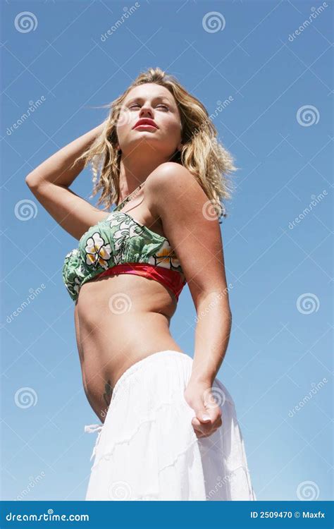 Reizvolle Frau Im Bikini Stockfoto Bild Von Recht Attraktiv 2509470