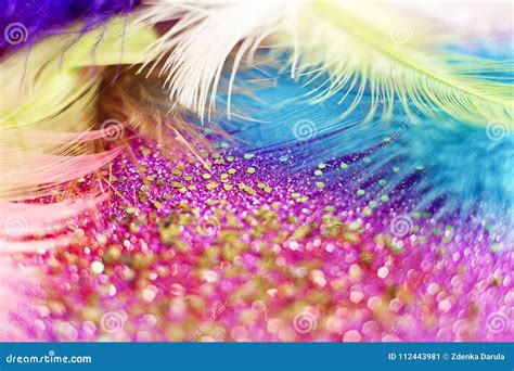 Macro Shot Of Feather And Glitter Stock Image Image Of Decoration