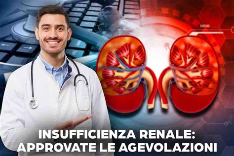 Insufficienza Renale Approvate Le Agevolazioni 2024 Guida Chiara Su