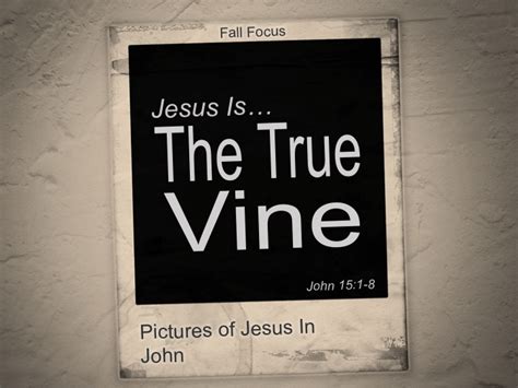 Jesus Is…The True Vine (John 15:1-8) – Focus Online