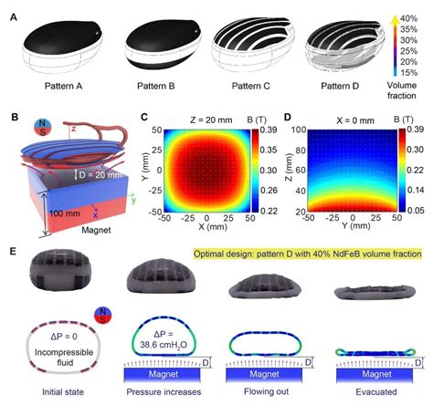 Science Advances Implantable Magnetically Controlled Soft Robot