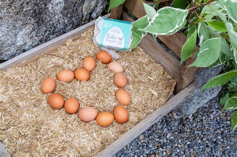 Butler's Organic Egg Producers Showcase their Organic Farm - Butler's ...