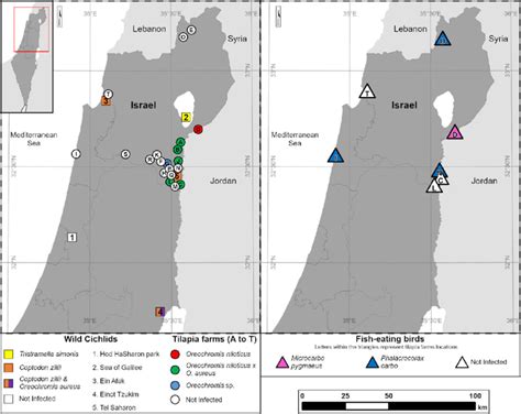 Northern Israel with sampling localities. | Download Scientific Diagram