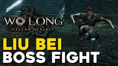 Wo Long Fallen Dynasty Liu Bei Ng K Damage Punch Youtube