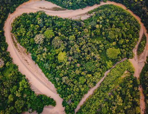 Conheça os 11 negócios de impacto amazônicos finalistas da Chamada AMAZ