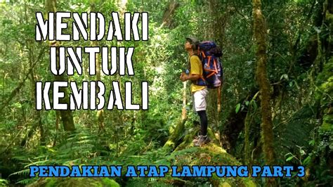 Turun Terlama Sampe 8 Jam Gunung Pesagi Pendakianku Part 3