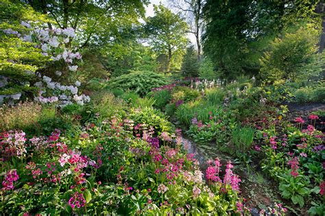 Melbourne Hall • Historic house and gardens in Derbyshire