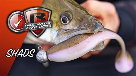 PREDATOR BASICS 2 How Fish With Shads To Catch Perch And Pike Lure