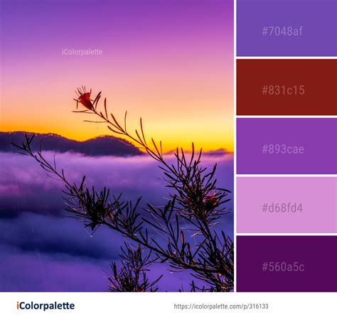 31 Purple Color Combinations | Curated collection of Color Palettes