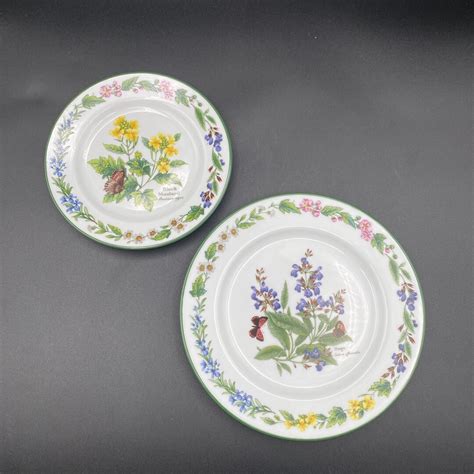 Royal Worcester Herbs Botanical Print Plates Fine Bone China Made In