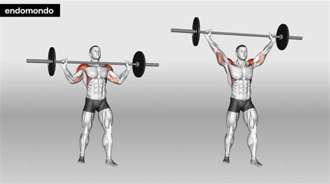 Overhead Press Variations 7 Moves To Build Muscle In 2025