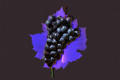 Rediscovering Chilean Carmenère | Wine Enthusiast