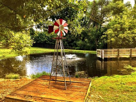 A Day On The Farm Photograph By Chris Montcalmo Fine Art America