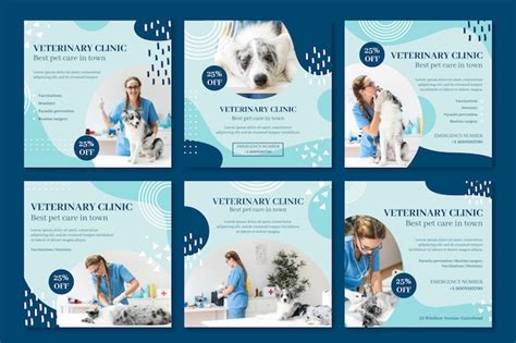 Modello Di Post Instagram Veterinario Vettore Gratis