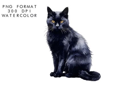 Watercolor Cute Black Cat Clipart Graphic By Watercolorbykr Creative