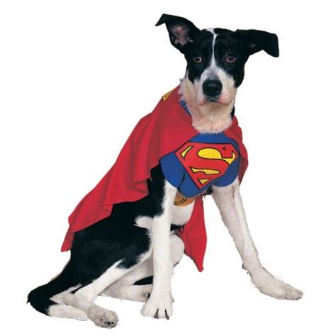 Geekshive Rubies Costume Dc Heroes And Villains Collection Pet Costume