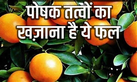 सतर म छप ह सहत क खजन Benefits of Orange Fruit Santre