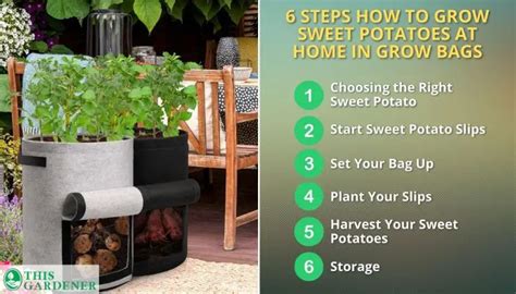 Best Grow Bags For Sweet Potatoes: 6-Step Process Revealed!