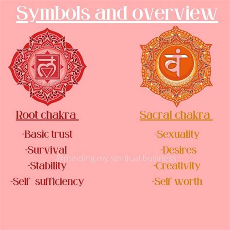 Anatomy Of The Root And Sacral Chakras