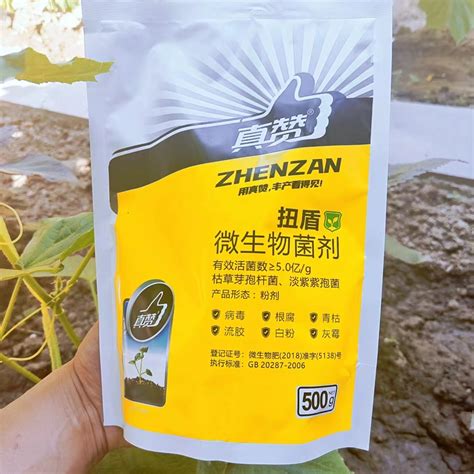 苍术种植根腐病如何防治？苍术根腐病茎基腐病用什么效果好！