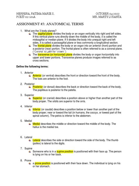 Anatomical Terms | PDF