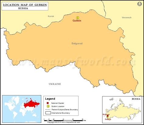 gubkin location  gubkin  russia map