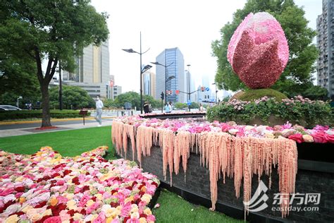 1000余万盆花卉、92个花坛景点，国庆期间上海街头化身“花花世界”